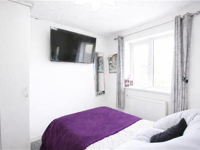 Picture 14
